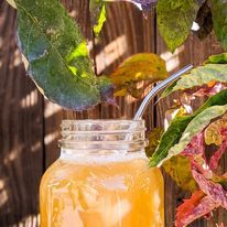 Cold Drink — Flagstaff, AZ — AWA Kava Bar