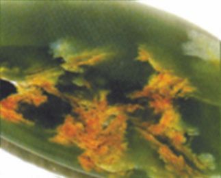 A close up of a green leaf with yellow flowers
