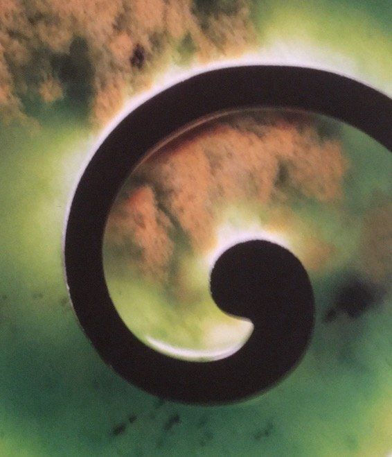 A pounamu koru