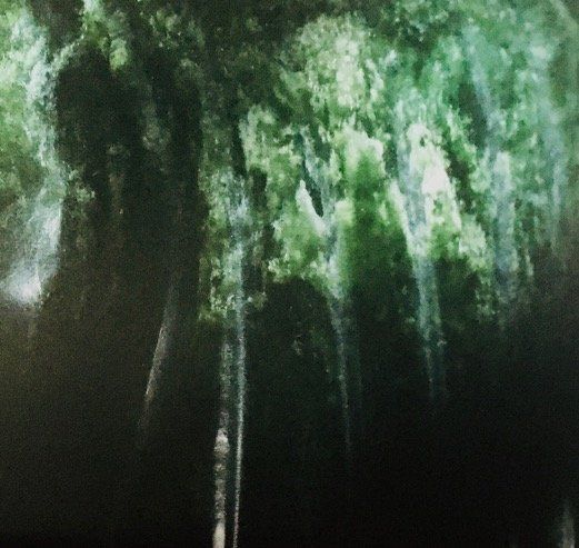 A painting of trees with green leaves on a black background