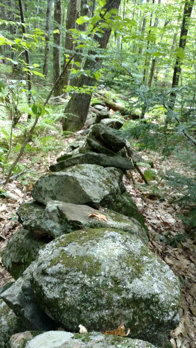 Land Surveyor Gilford, NH Bryan L. Bailey Associates, Inc