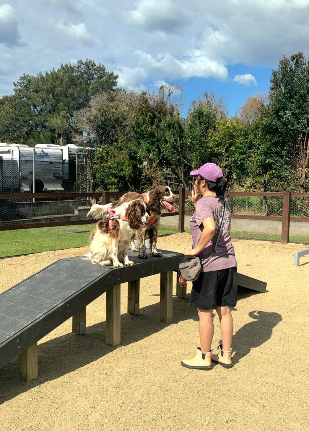 Mea with two dogs
