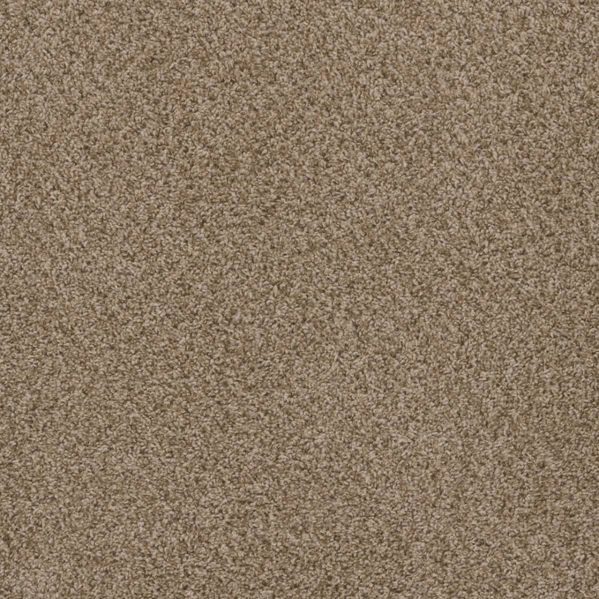 Engineered Floors Hot Pursuit carpet in Bellegrove