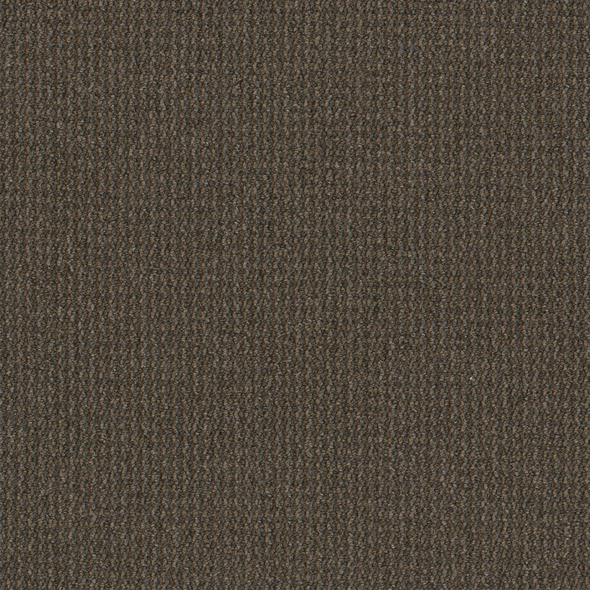 Pentz Uplink 20 Broadloom carpet in London Fog