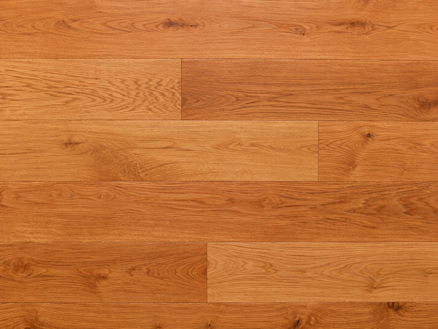 Summer Red Oak image