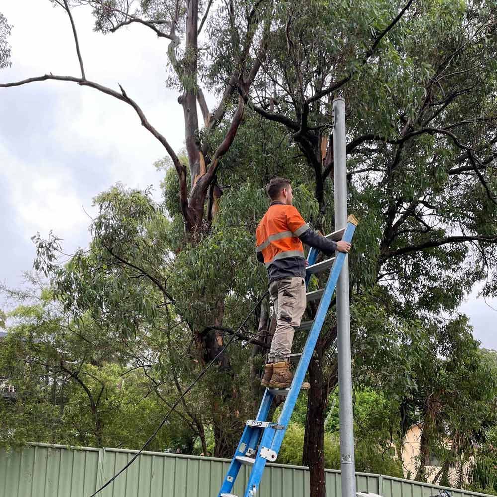 Electrician on a Ladder — Level 2 Electrician in Toukley, NSW