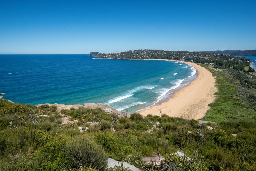 A View of a Beach From a Hill Overlooking the Ocean — Eva Professional Painting in Palm Beach, QLD