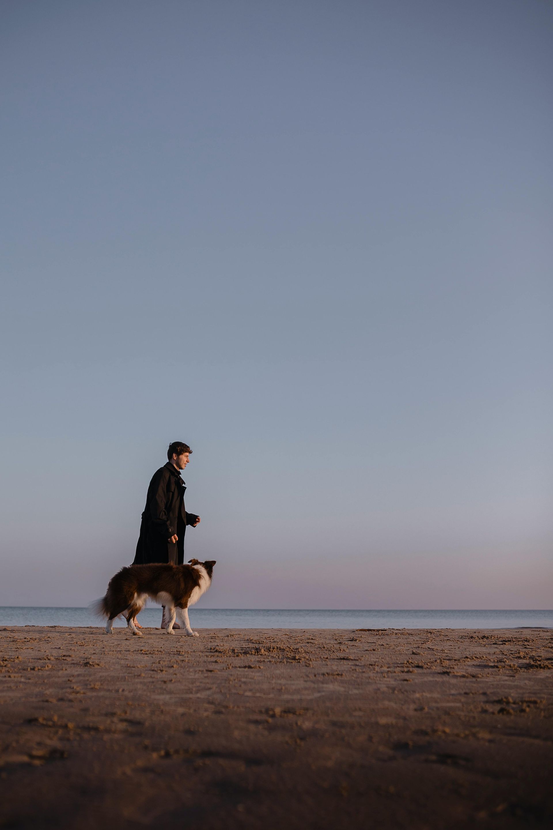 A man is walking a dog on the beach
