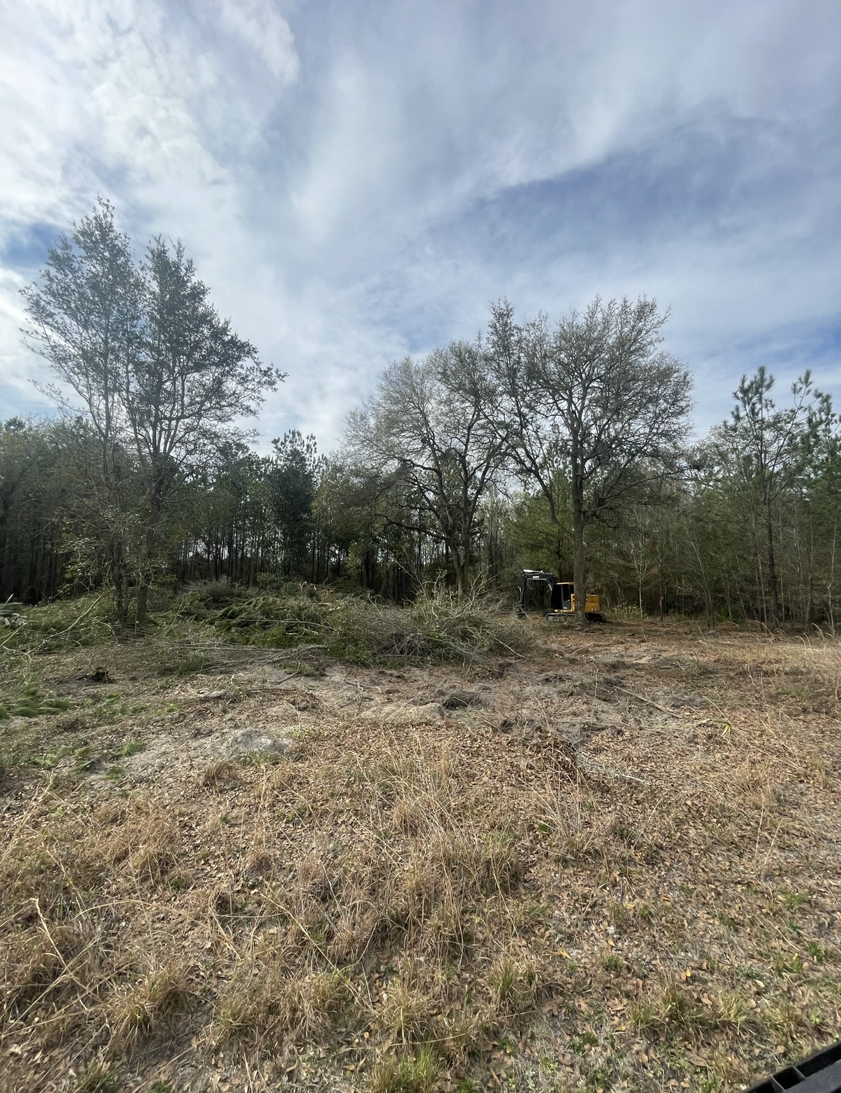 Grassy field with sparse trees under a cloudy sky, with a small yellow object near the center.