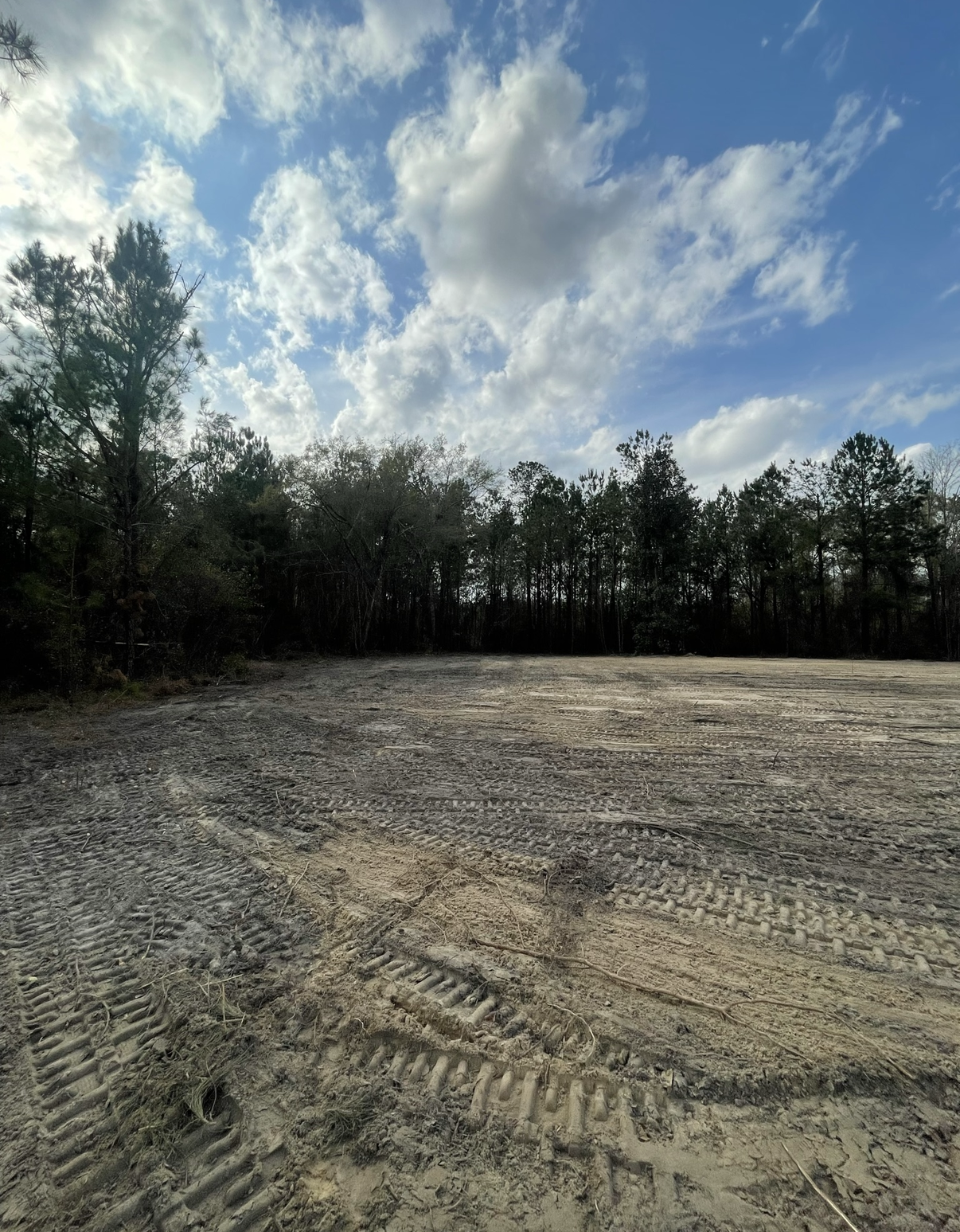 Open dirt clearing beside a pine forest under a partly cloudy sky