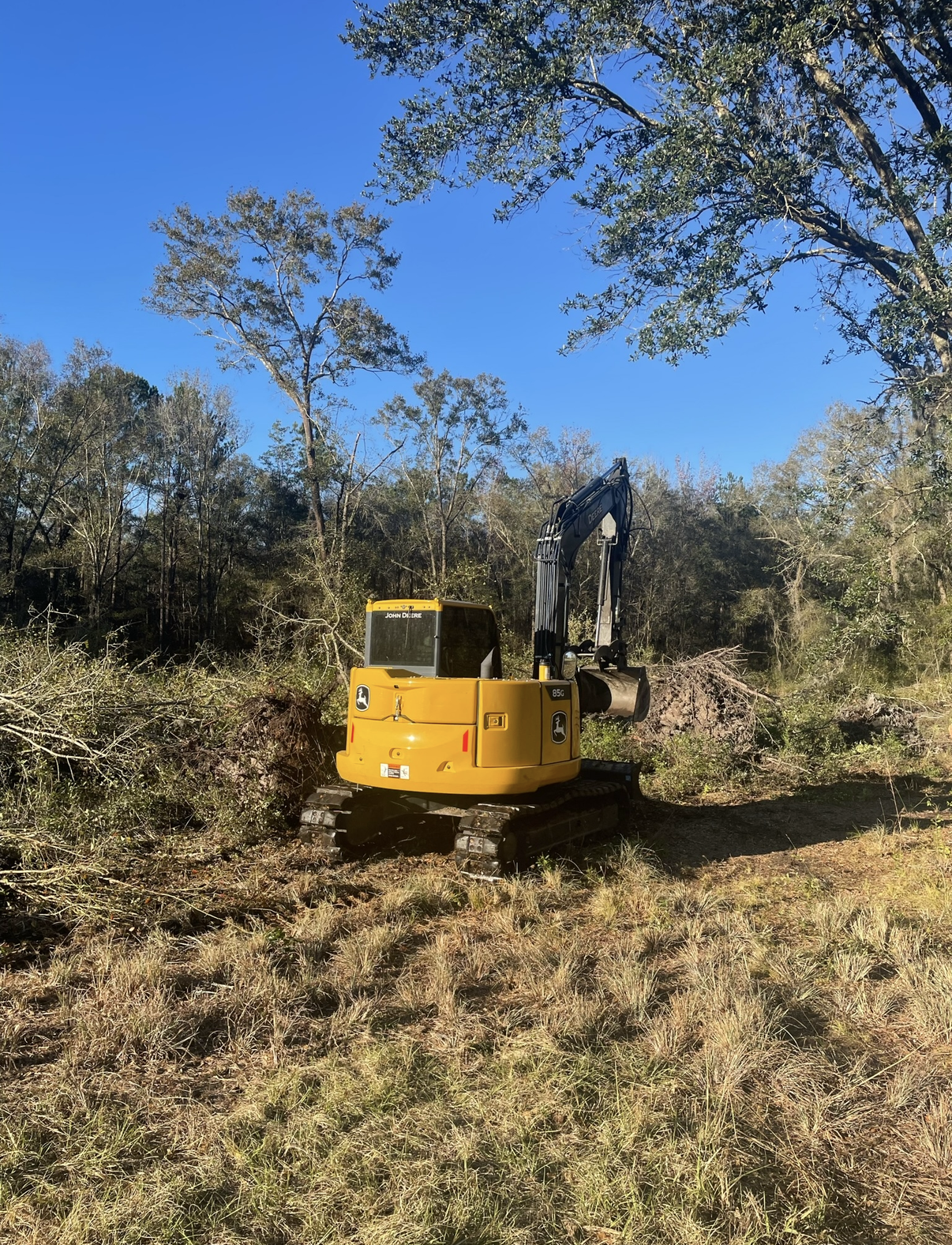 Yellow excavator in a wooded clearing, with its arm raised amid dry grass and trees.