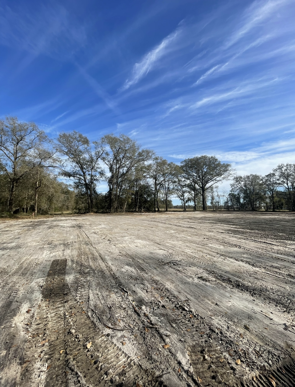 Open dirt field with tree line under a blue sky streaked with thin clouds