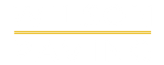Thin gold horizontal line on a white background