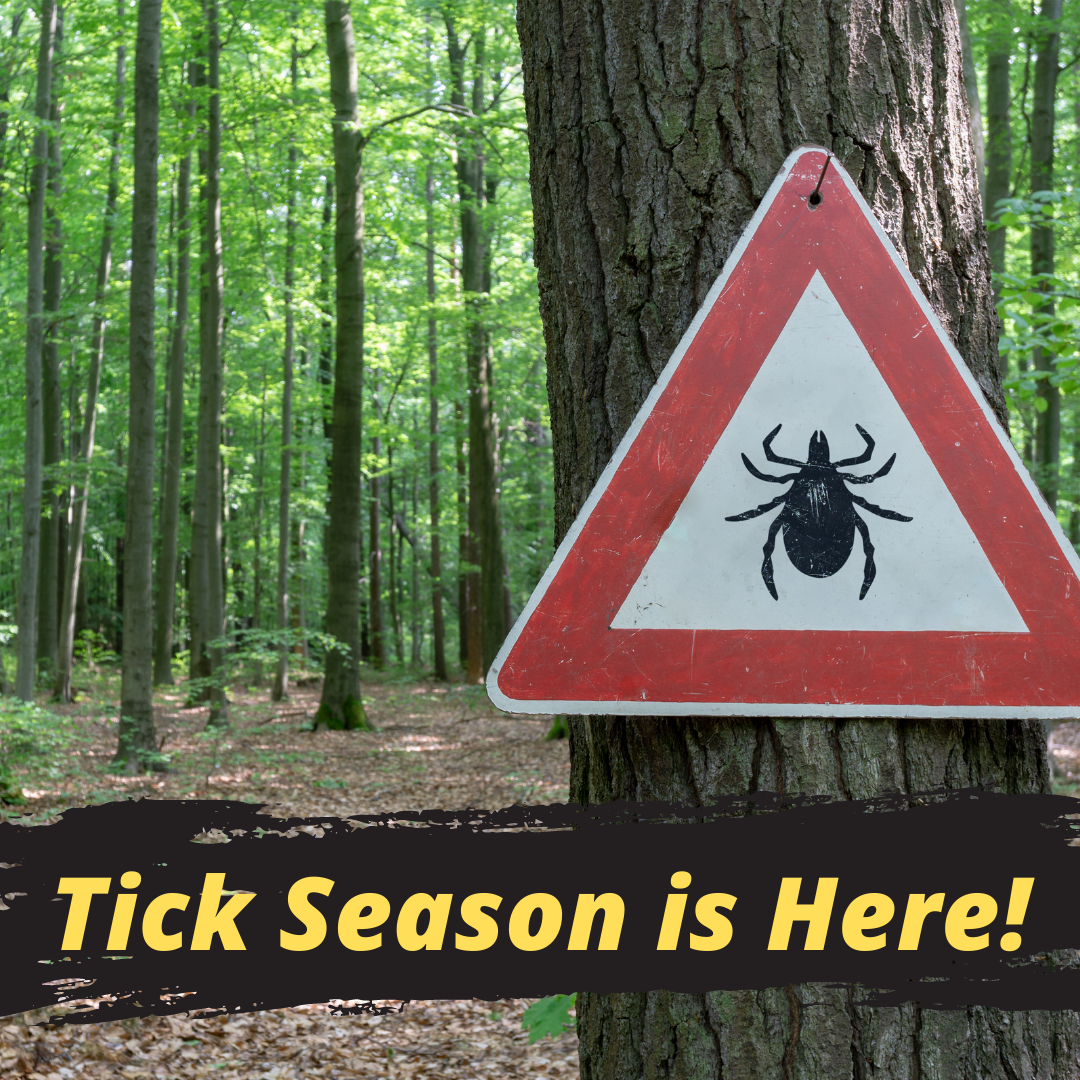 Pest Control & Exterminators Zanesville, OH Arbor Works LTD