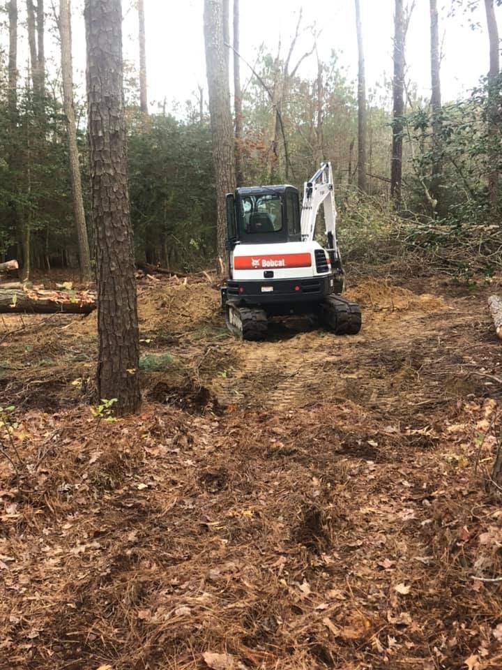 Bobcat excavator in a wooded area, clearing land.
