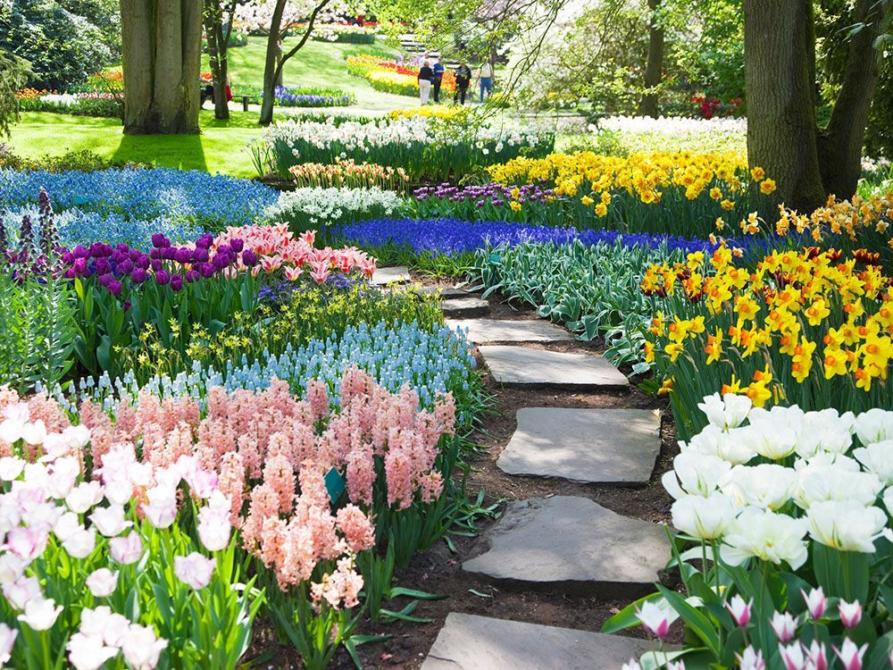Flower Garden With Pathway — Kilmarnock, VA — Booth Landscaping Flower Garden With Pathway — Kilmarnock, VA — Booth Landscaping