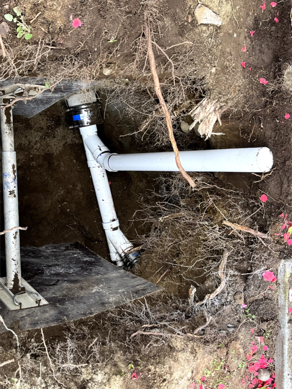 Open underground pipe junction with white PVC pipes in a dirt trench near pink flowers
