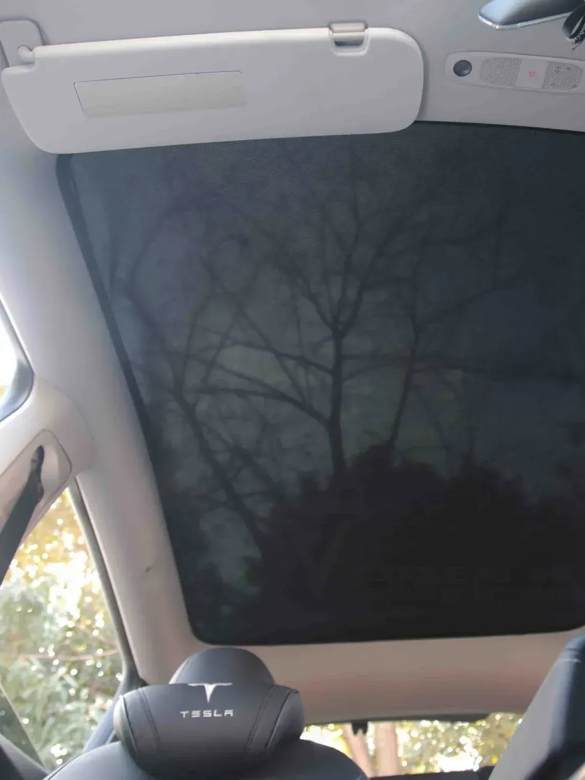 A tesla model 3 has a sunroof with a tree in the background.