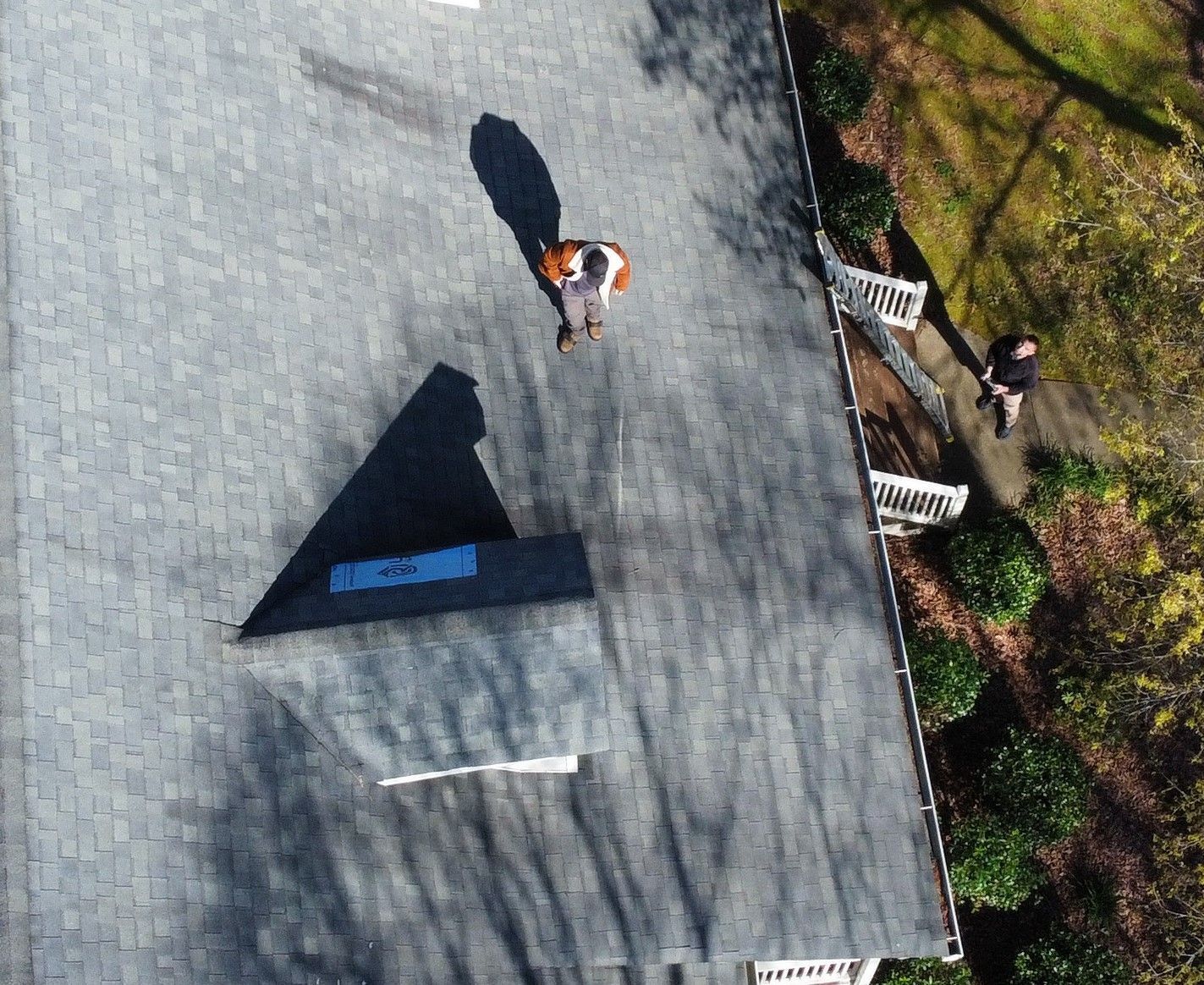 Overhead view of a person and dog on a roof, another person by a sidewalk.