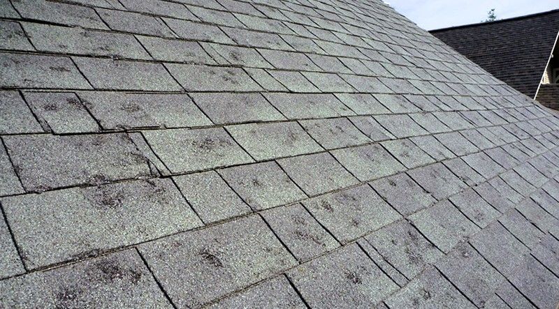 Gray asphalt shingle roof, with dark spots, viewed at an angle against a bright sky.