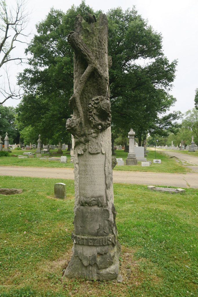 Krtezius