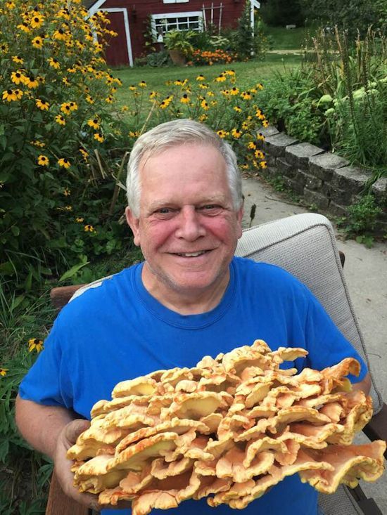 KilmerChickenOfTheWoodsMushroom550 KilmerChickenOfTheWoodsMushroom550