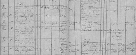 UmrtiBrnoArchives183839At525