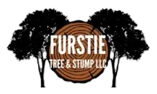 Logo: