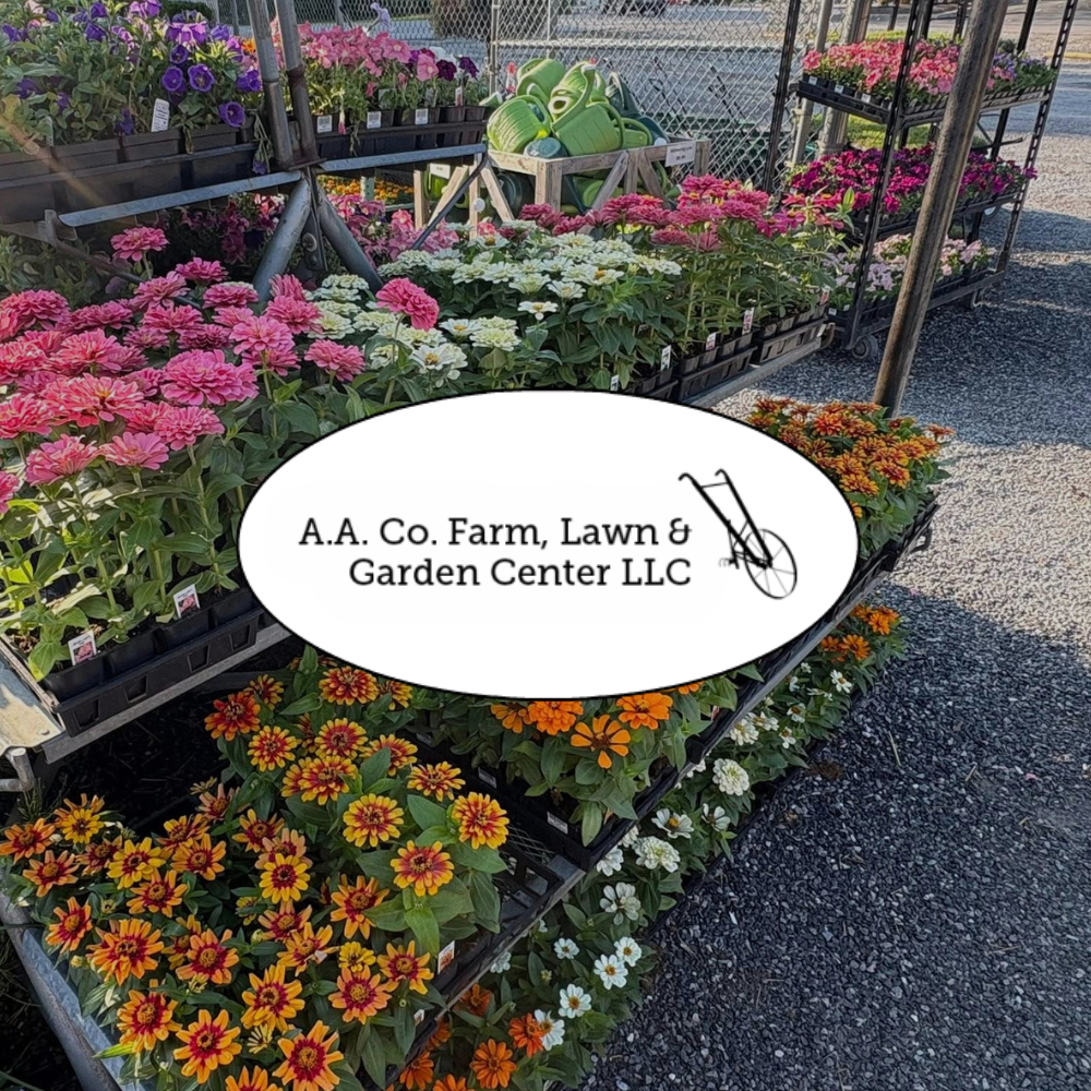Flower displays at A.A. Co. Farm, Lawn & Garden Center LLC in an outdoor nursery.