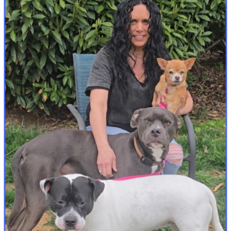 Lehigh Valley, PA pet sitter, Casey