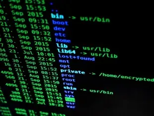 Optimize the web