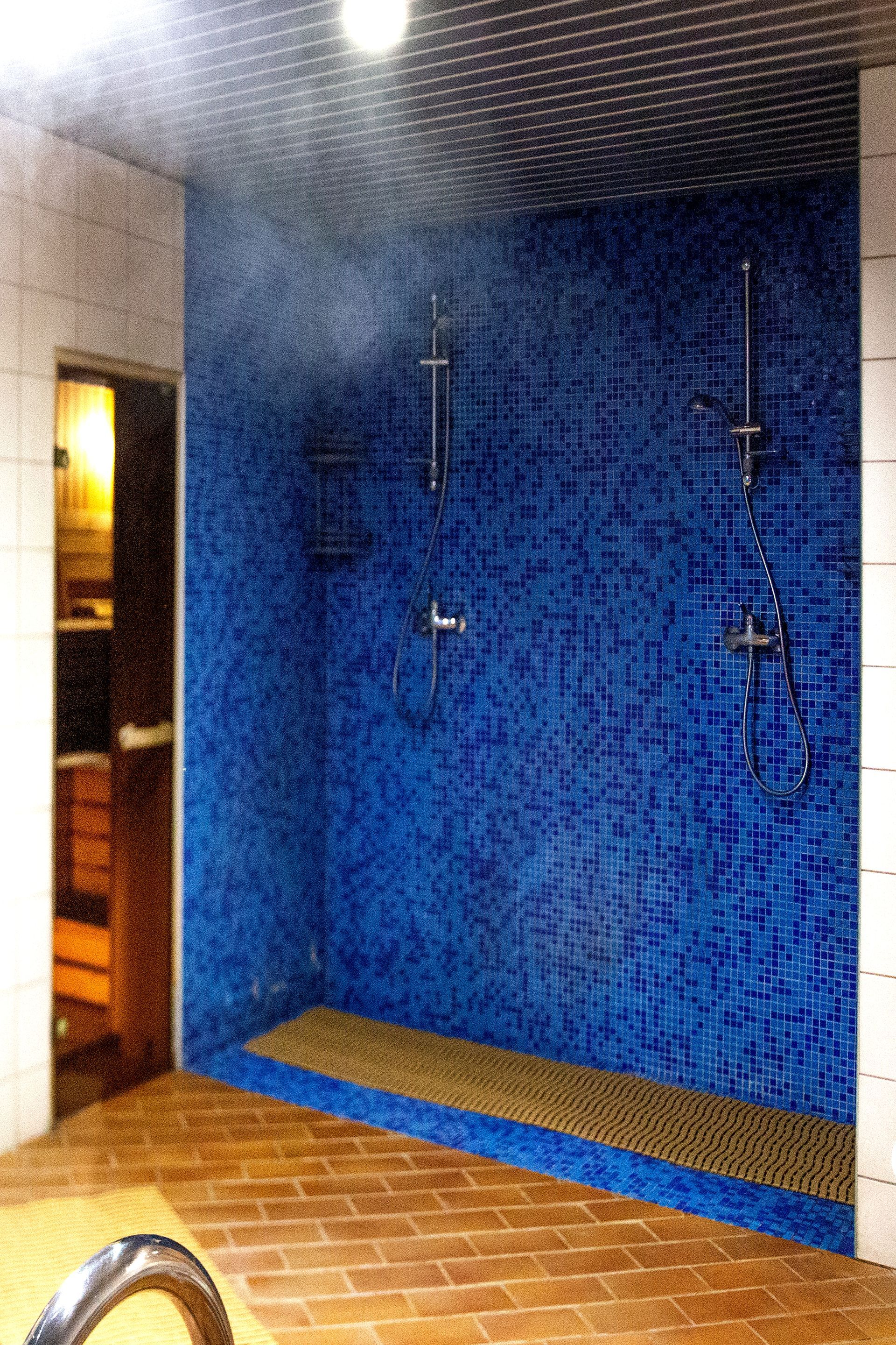 Baseinas/Sauna/Turkiška pirtis