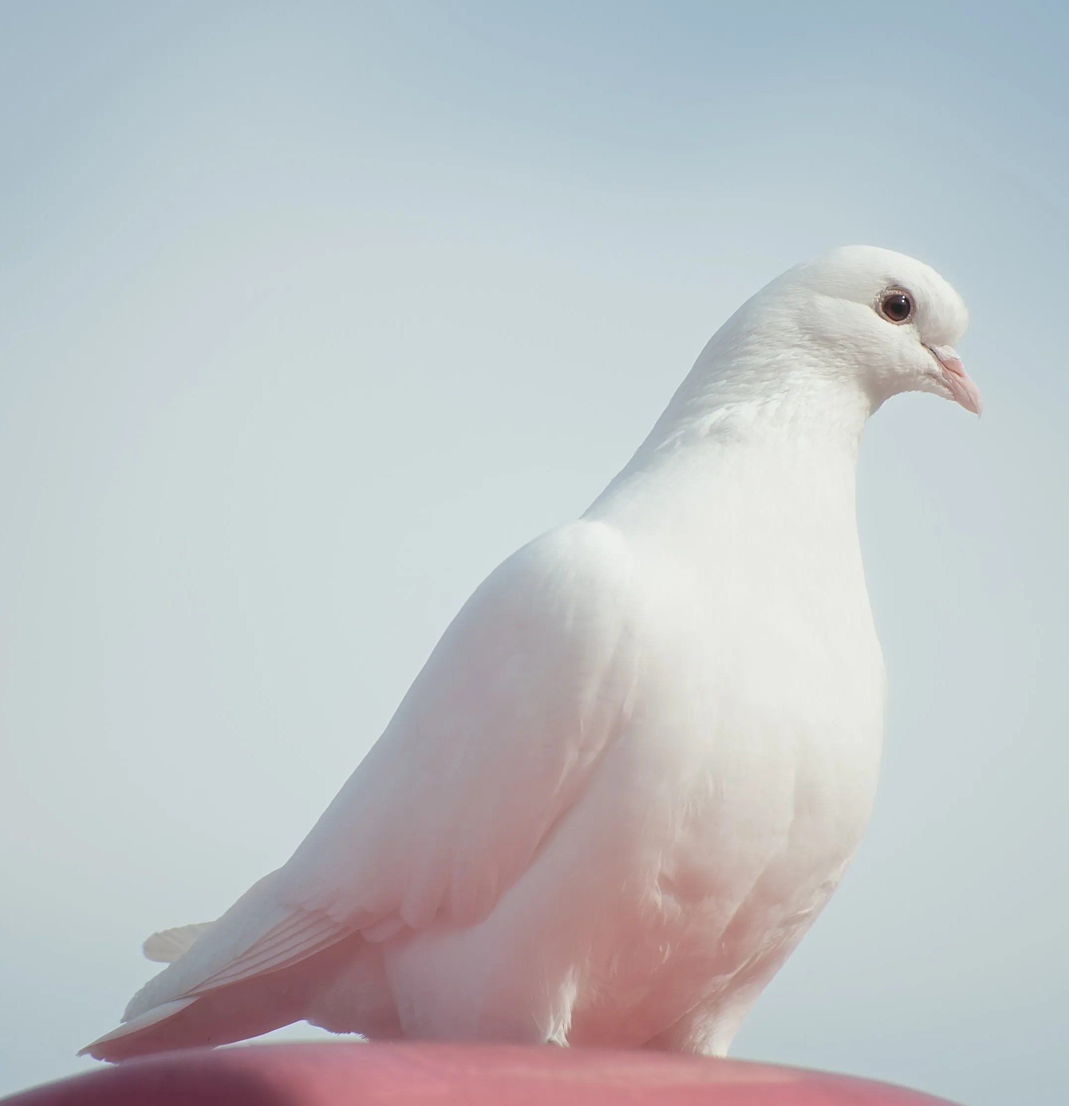 Brennan Mathena Funeral Home