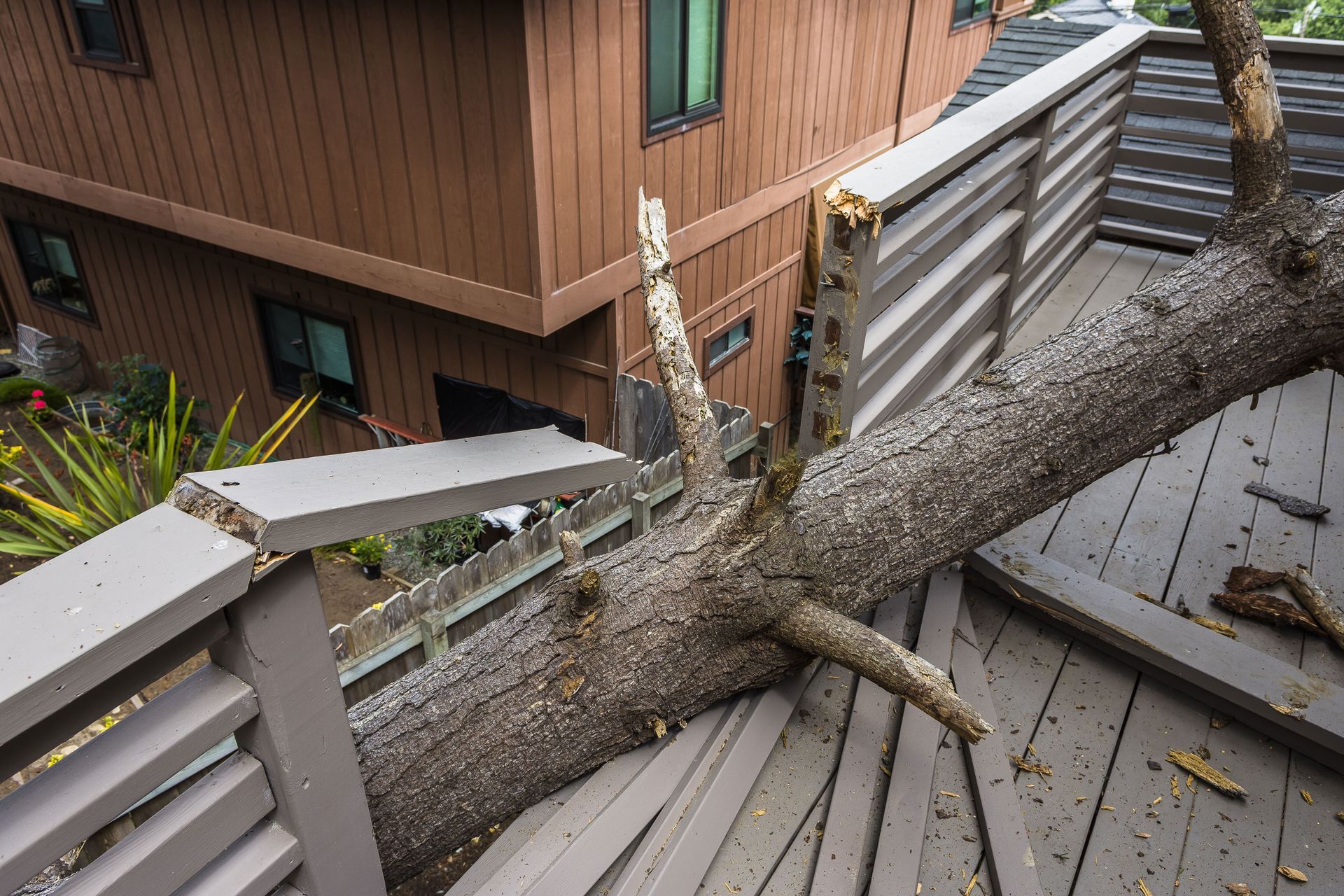 Natural Disaster Restoration in Frisco, TX
