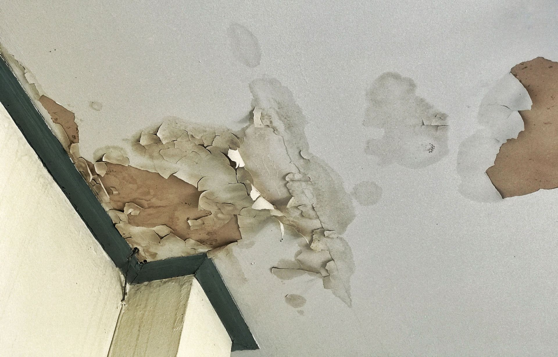 Water Damage Restoration in Frisco, TX