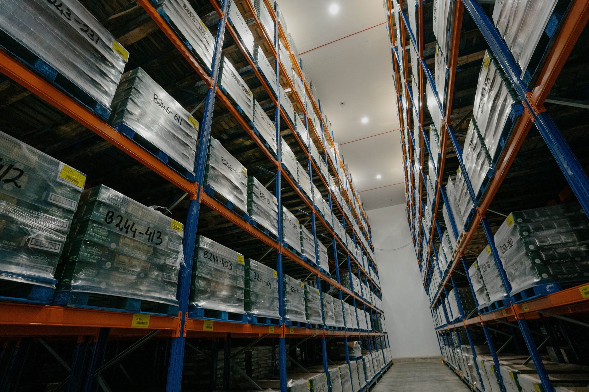 Final Phase of Advanced Freezer Room with Fire-Resistant Features for CGI by Aircold Panel Solutions.