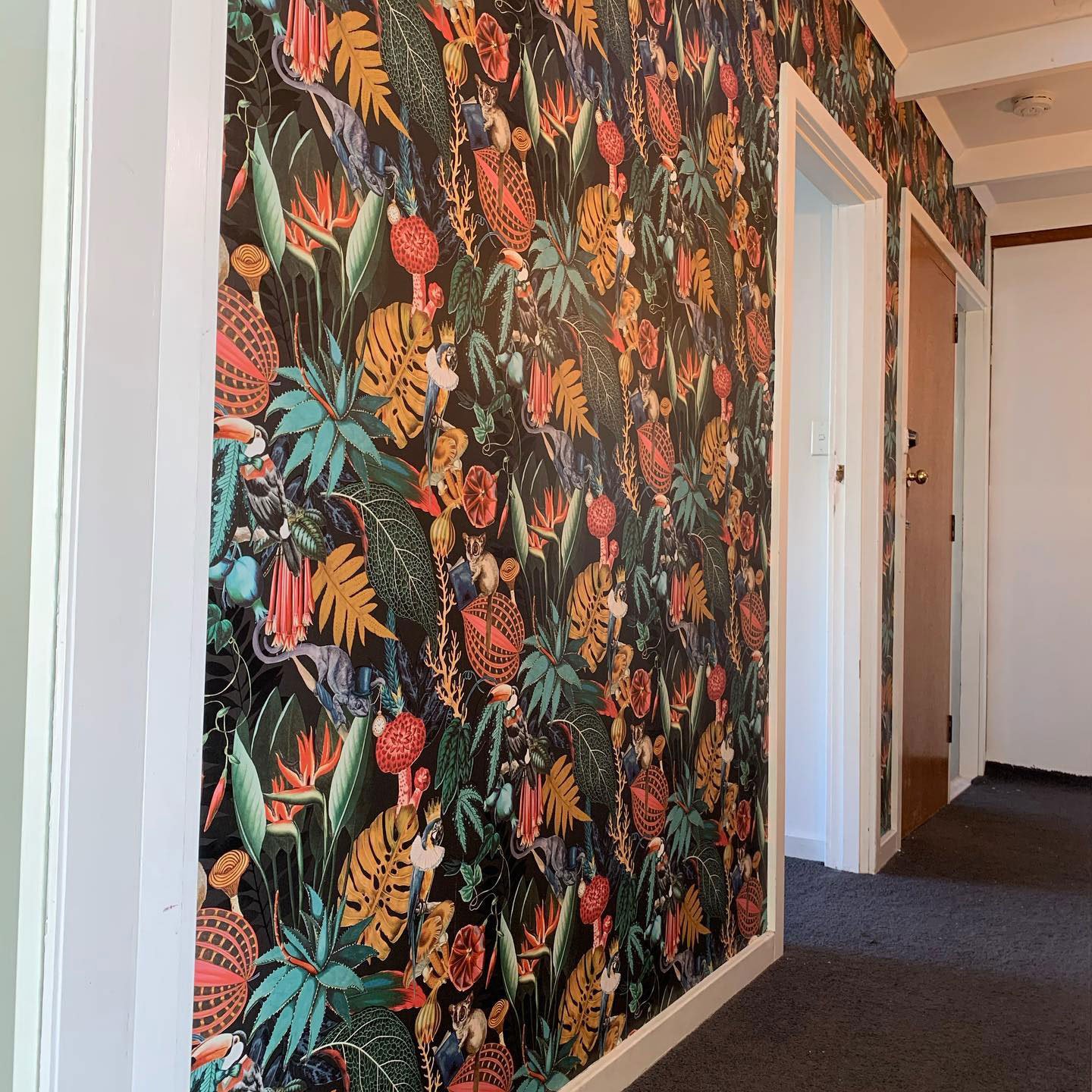 Painters & Decorators Brighton, TAS Hobart Painting & Decorating