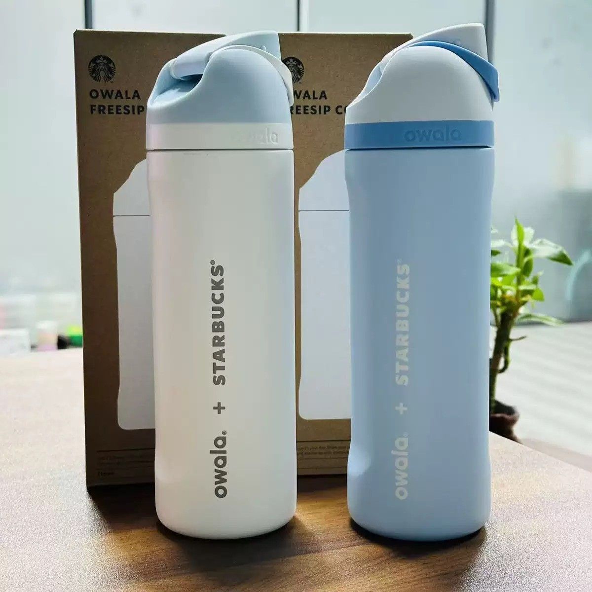 【免運】Starbucks x Owala 夏日 冷飲 水壺 710ml