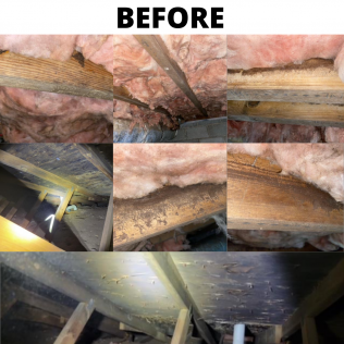 Before and after pictures of an attic showing mold and water damage on wood beams and insulation.