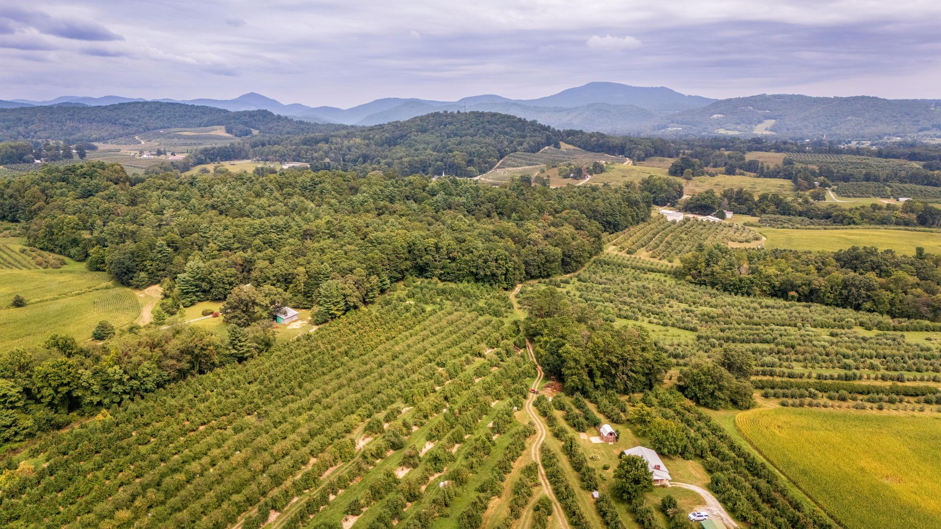 Aerial view of green orchards and fields stretching toward hazy mountains under a clear sky at redwood roofing in Tennessee 