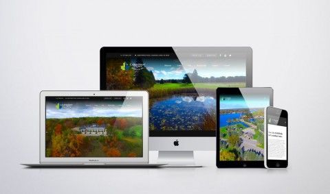 Mobile Friendly Website Design