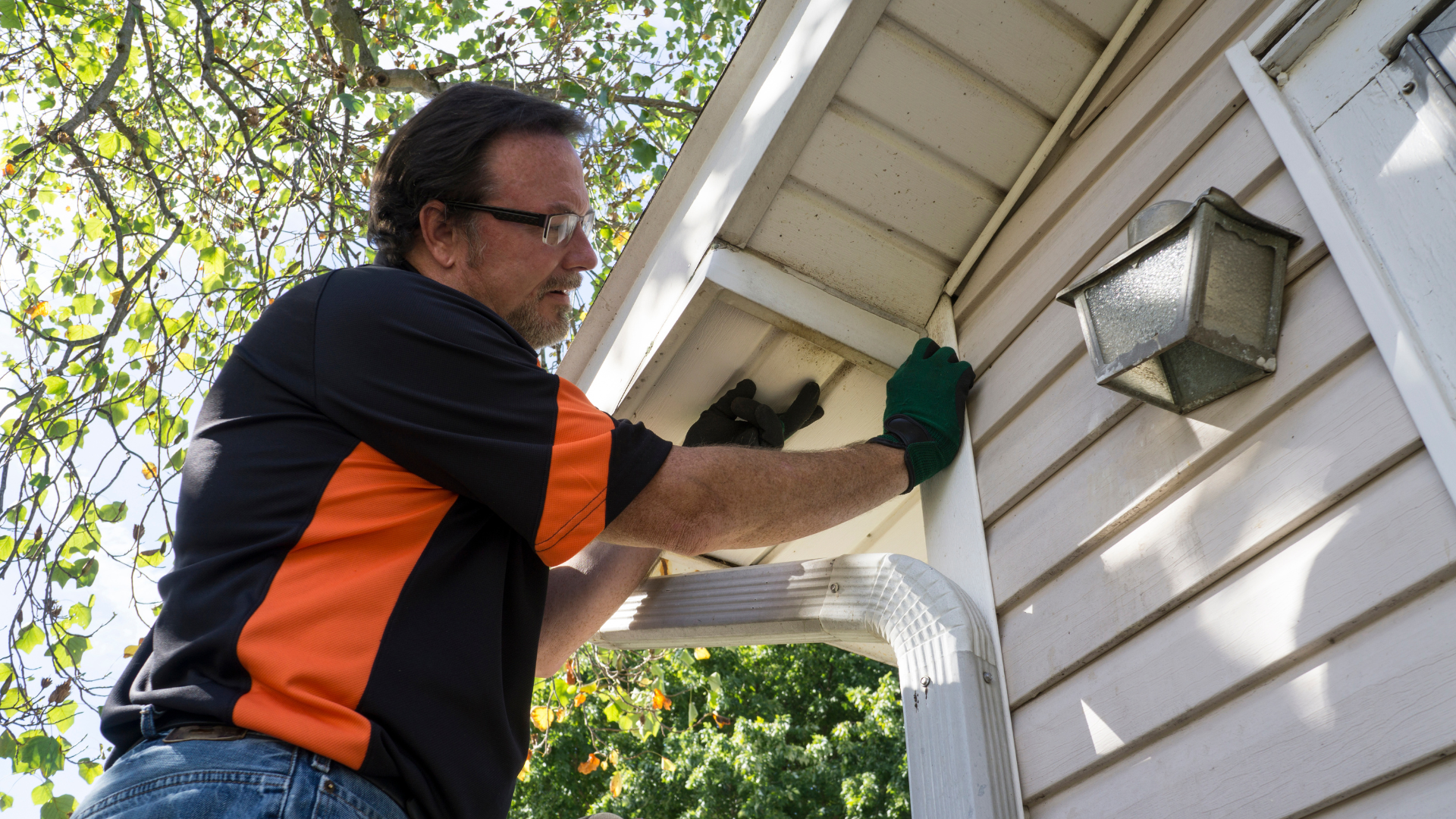 moisture buildup causing siding mold in Connecticut