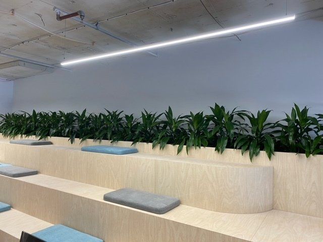 Greenfingers Indoor Plants