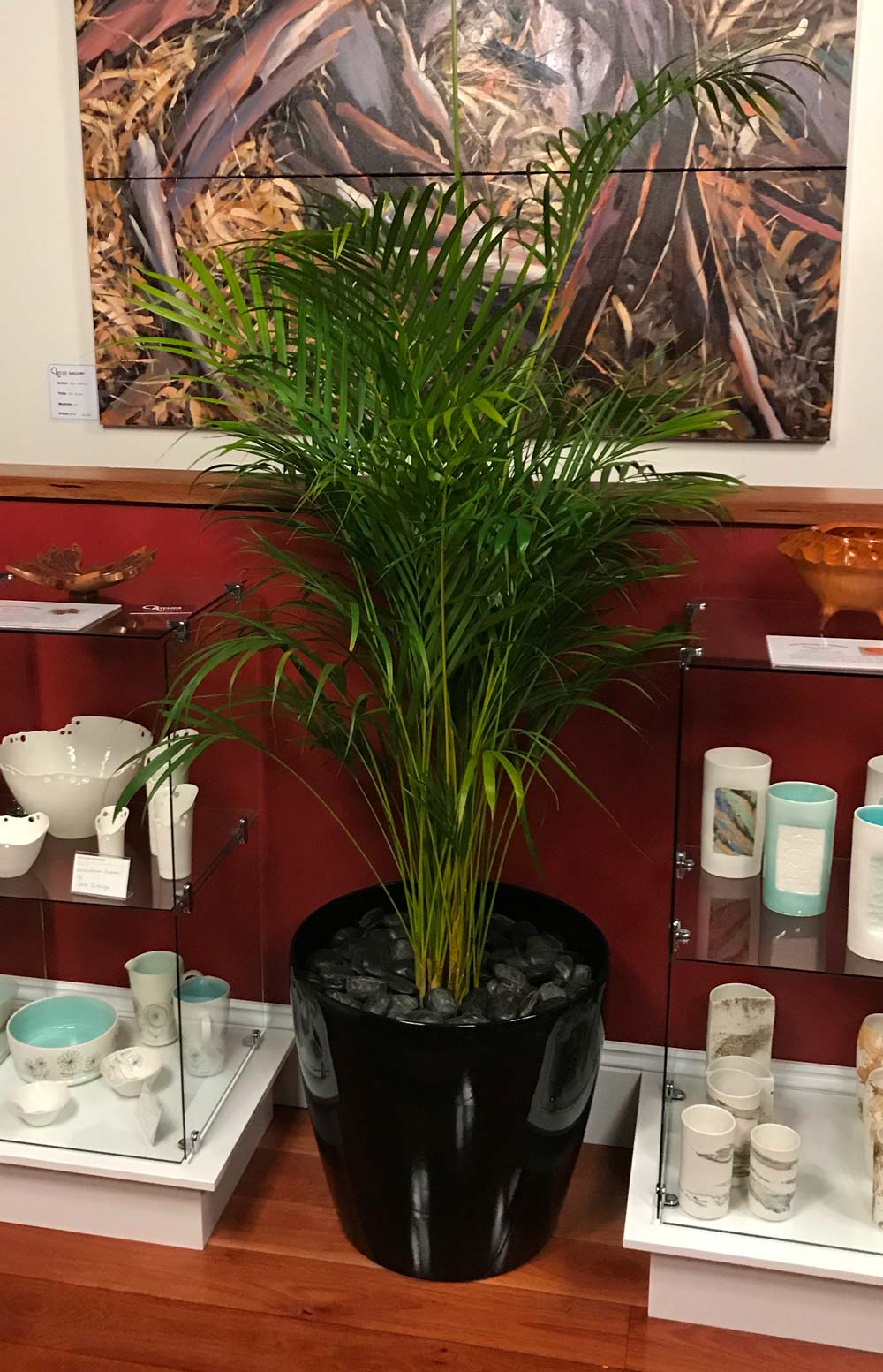 Greenfingers Indoor Plants