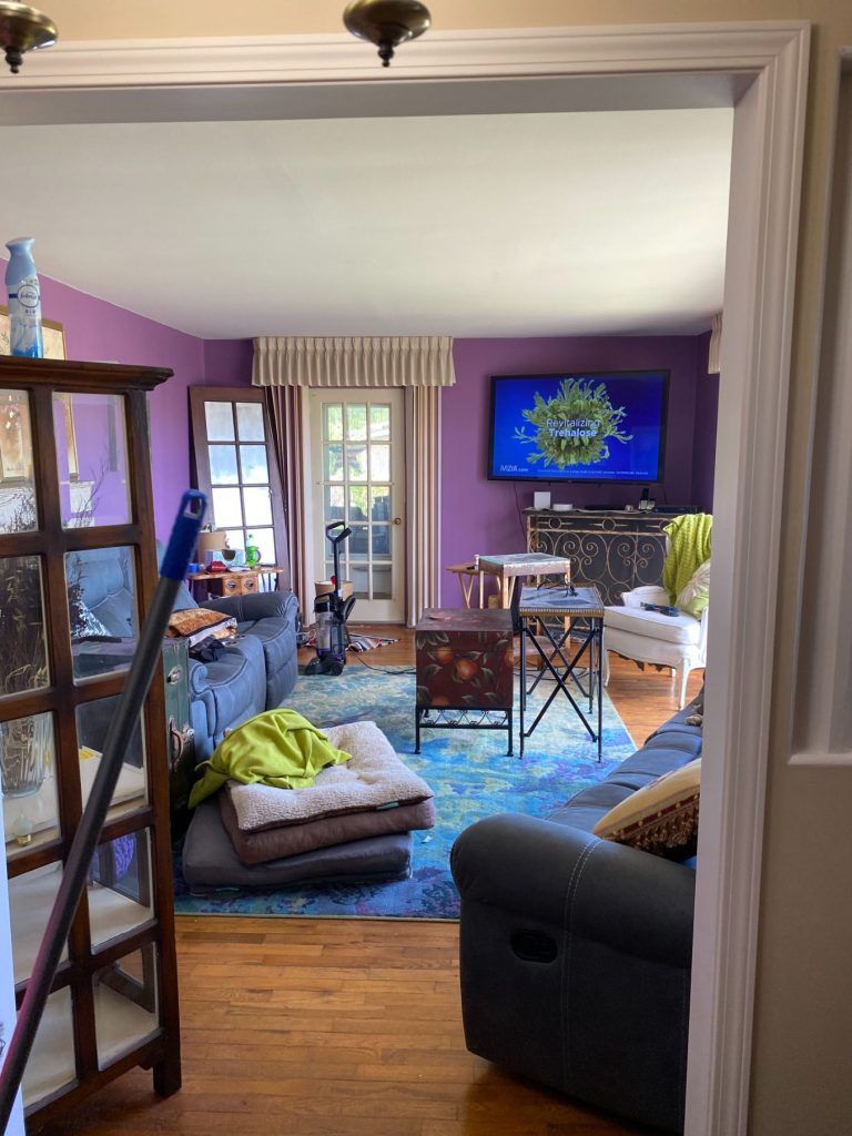 A living room with purple walls, two blue sofas, a blue patterned rug, and a television mounted on the back wall.
