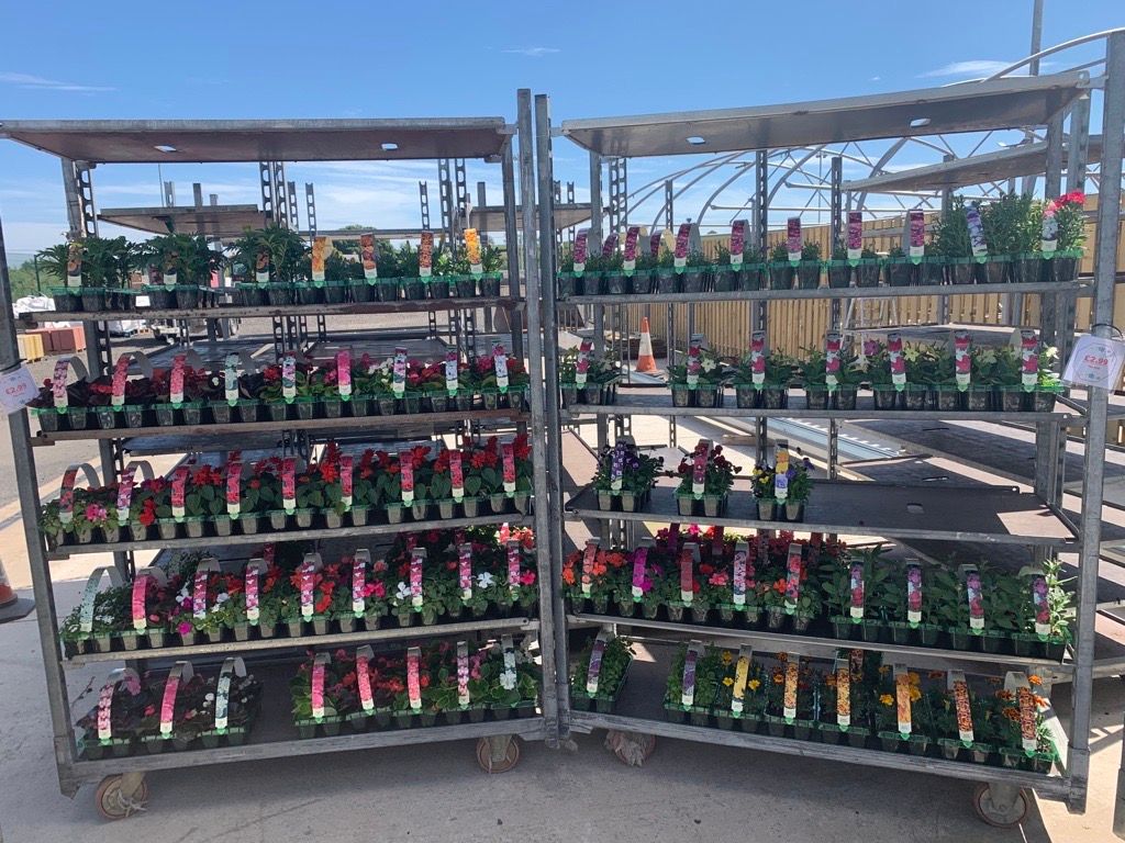 garden centre image 2