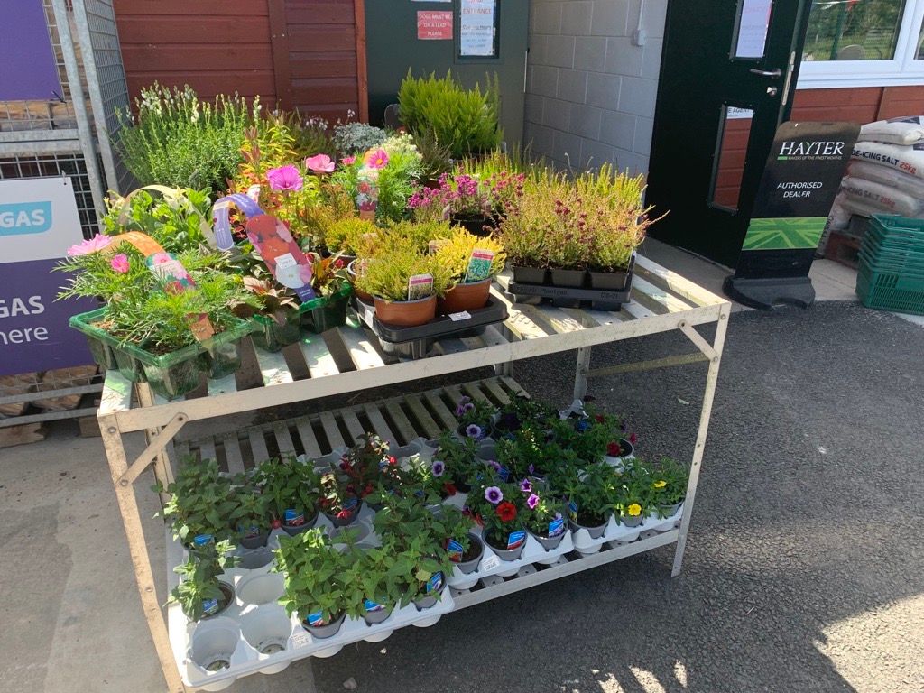 garden centre image 3