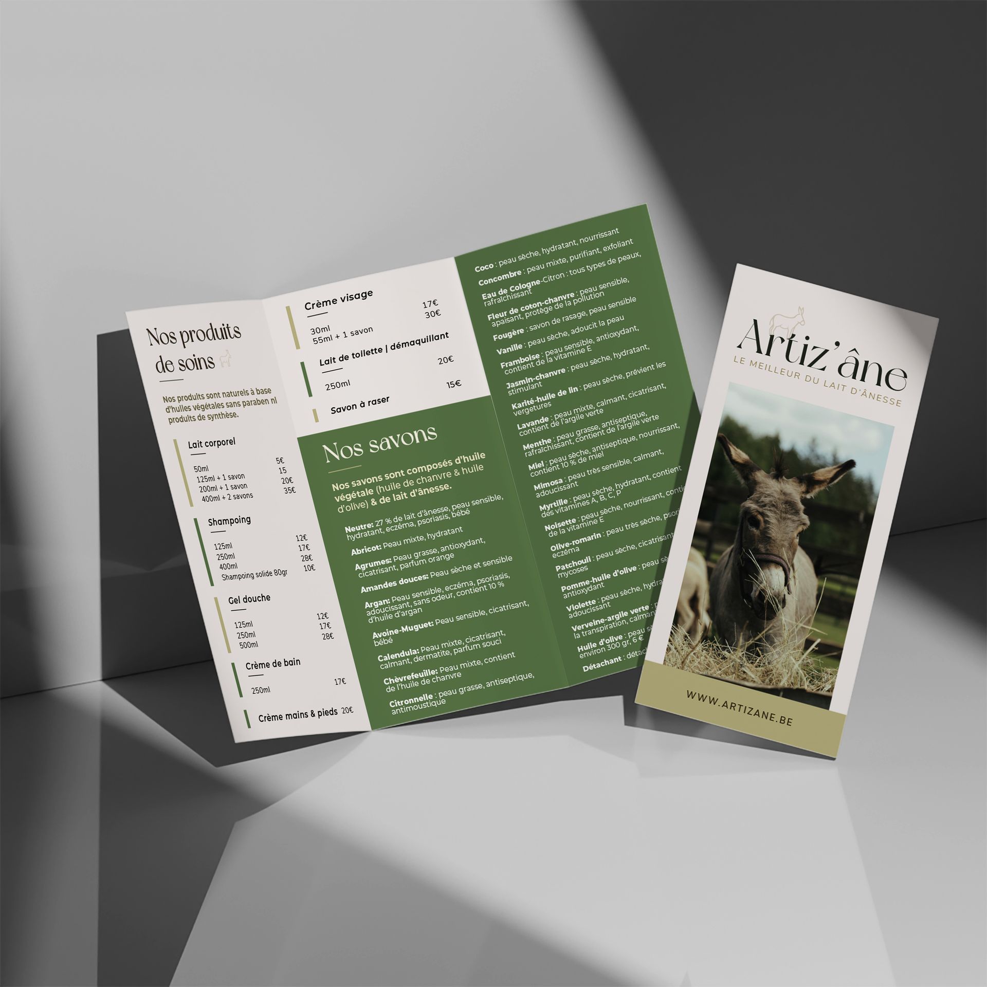 Brochure pour « Artizâne » avec une image d'un âne, ouvert et plié sur une surface blanche avec des ombres.