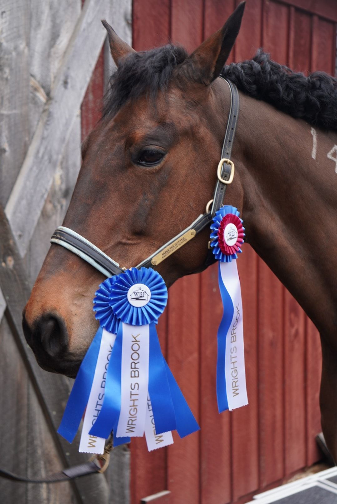 Homicide Hunter, the fastest trotter ever