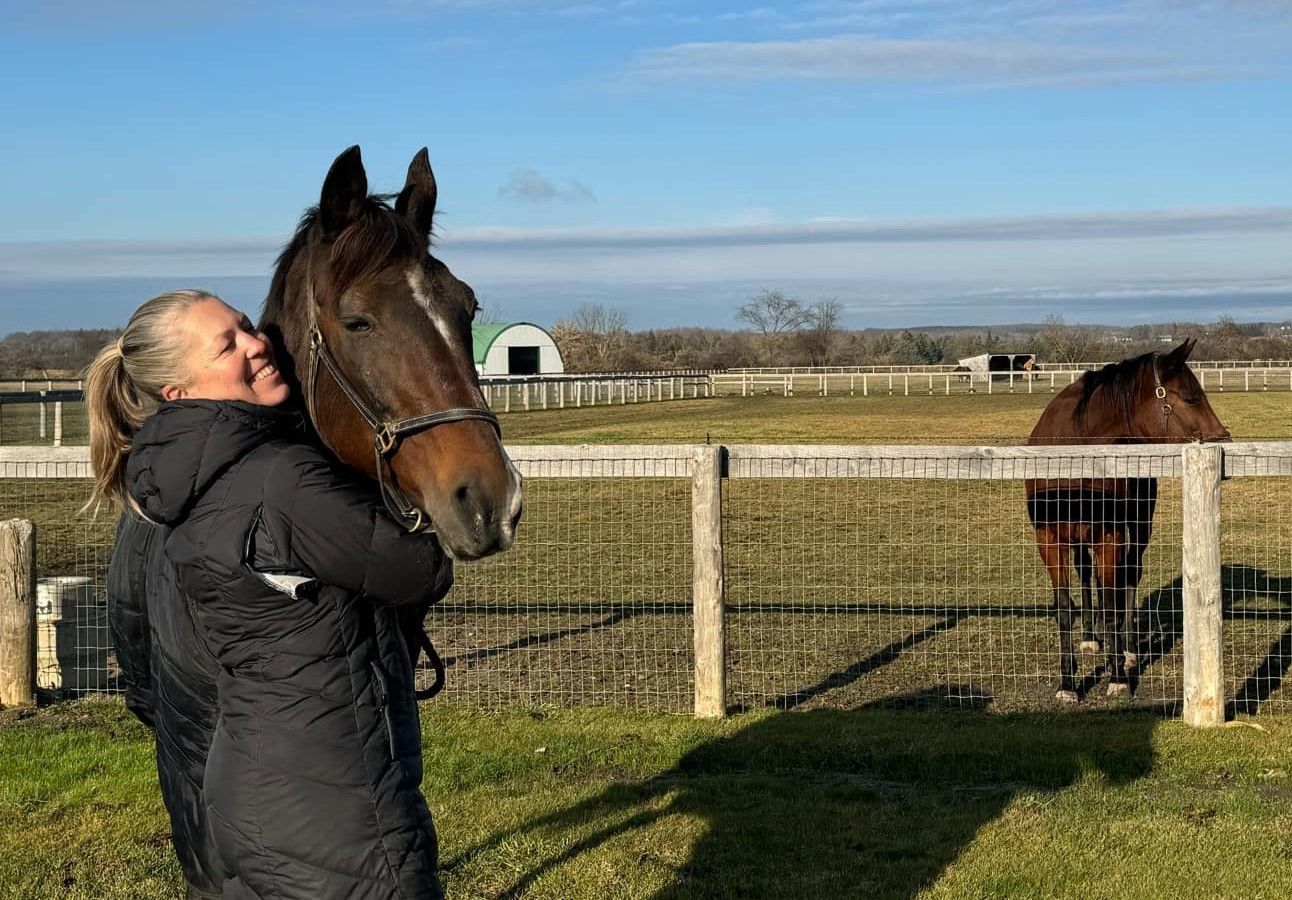 Harness racing's Intrepid Seelster pictured enjoying life at his new home